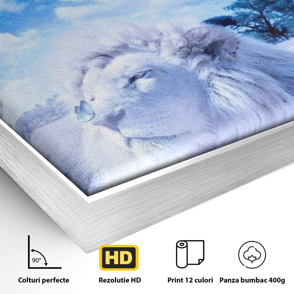 Detaliu al suprafetei: tablou canvas cu leu si planete, in rama de aluminiu argintiu